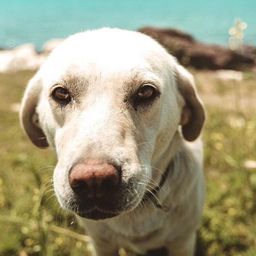 สมาชิกหมายเลข 3104121