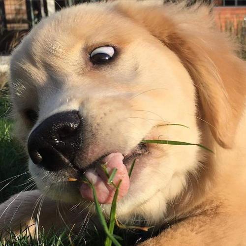 สมาชิกหมายเลข 5046383