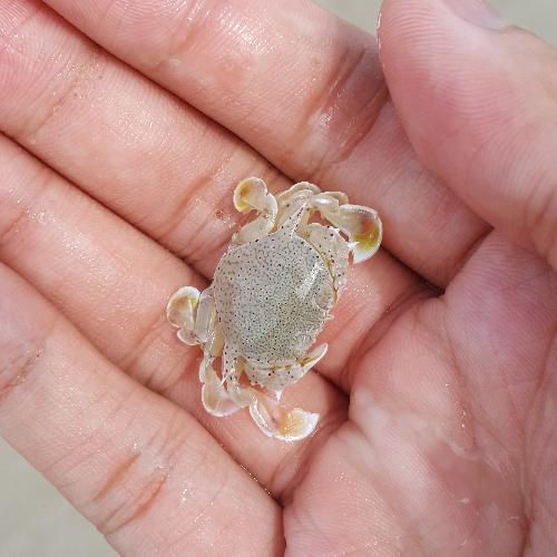 สมาชิกหมายเลข 1793738