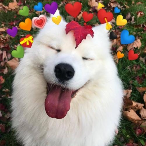 สมาชิกหมายเลข 5311986