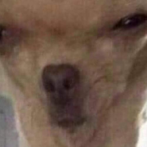 สมาชิกหมายเลข 2703642