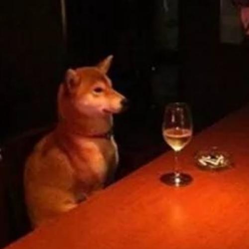 สมาชิกหมายเลข 4805675