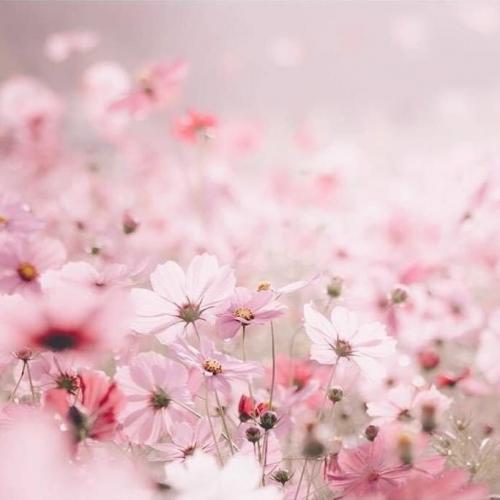 สมาชิกหมายเลข 5129535