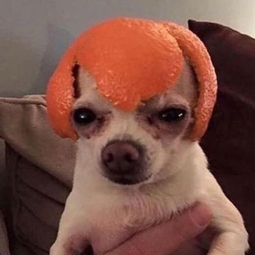 สมาชิกหมายเลข 5613998