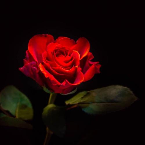 สมาชิกหมายเลข 6061119