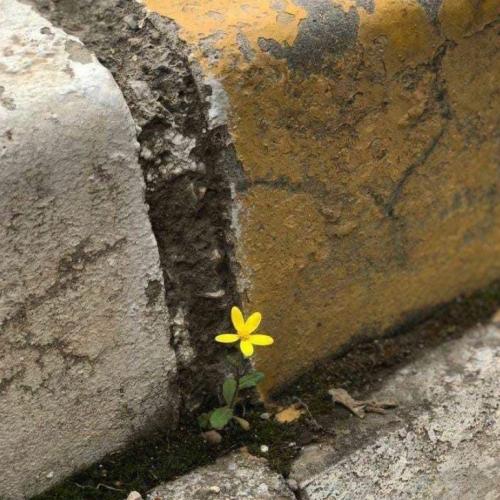 สมาชิกหมายเลข 4514196