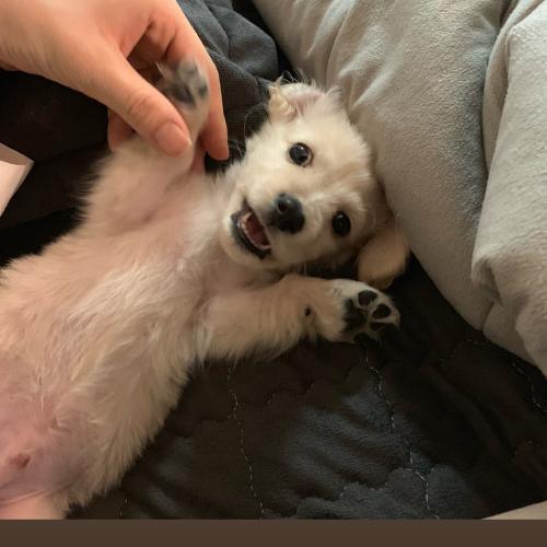 สมาชิกหมายเลข 5120454