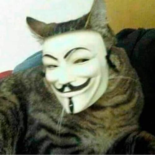 สมาชิกหมายเลข 5572322