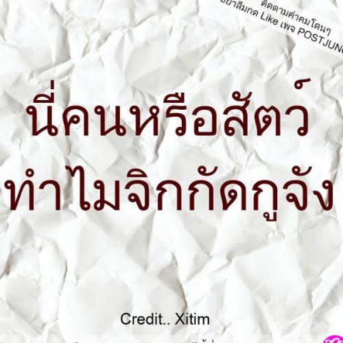 สมาชิกหมายเลข 6679129