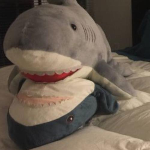 สมาชิกหมายเลข 6679504