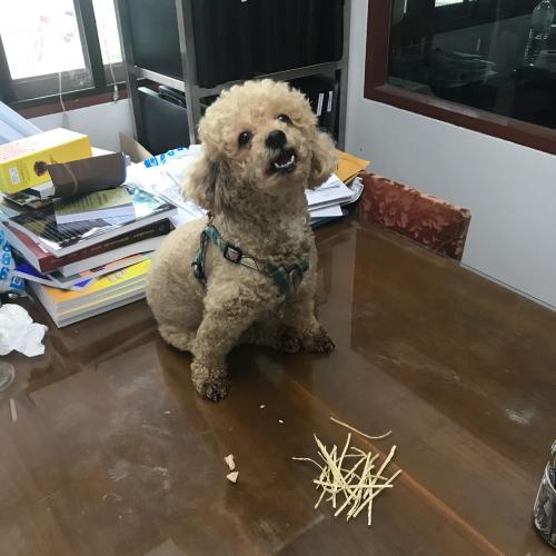 สมาชิกหมายเลข 4160620