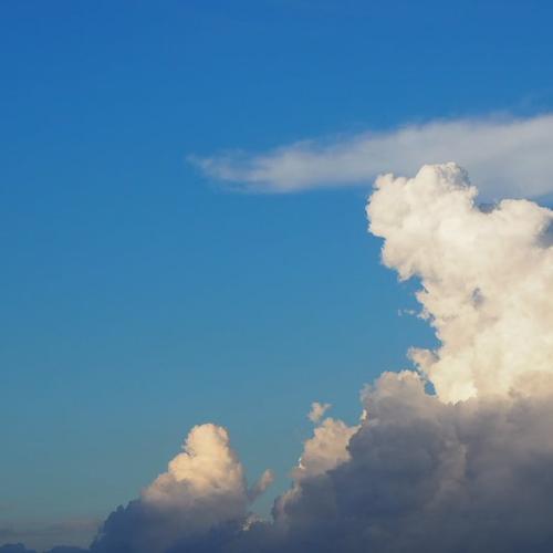 สมาชิกหมายเลข 5372331