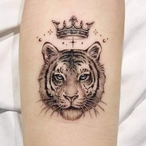 สมาชิกหมายเลข 6556403