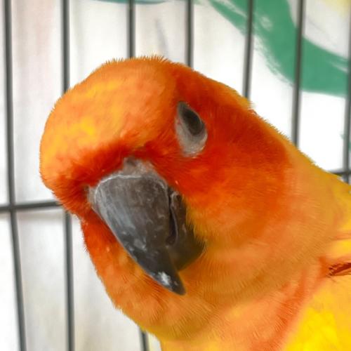 สมาชิกหมายเลข 8324068