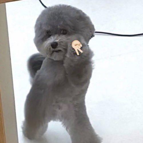 สมาชิกหมายเลข 8324751