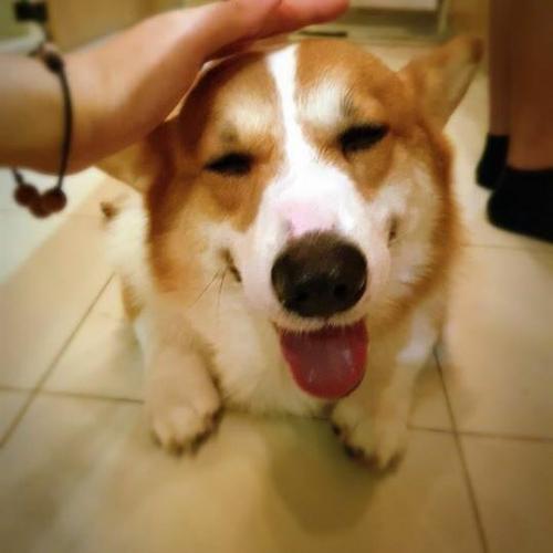 เด็กชายบะหมี่