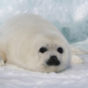 สมาชิกหมายเลข 3608374