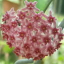 สมาชิกหมายเลข 4746834