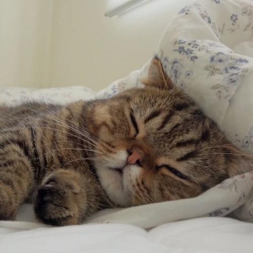 สมาชิกหมายเลข 757406