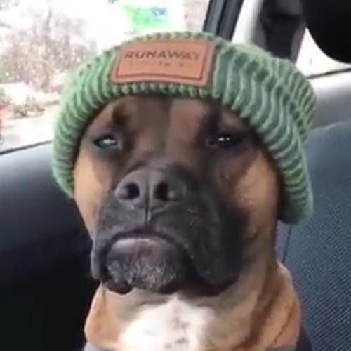 สมาชิกหมายเลข 3412439