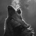 สมาชิกหมายเลข 5411478