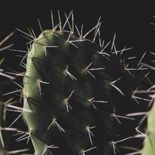 เธอชอบภูเขา เราชอบทะเล