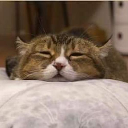 สมาชิกหมายเลข 6680521