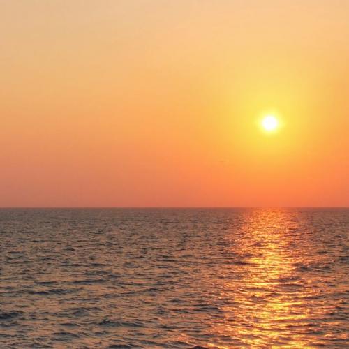 สมาชิกหมายเลข 1491440