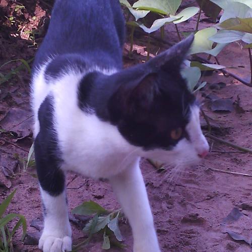 สมาชิกหมายเลข 5984598