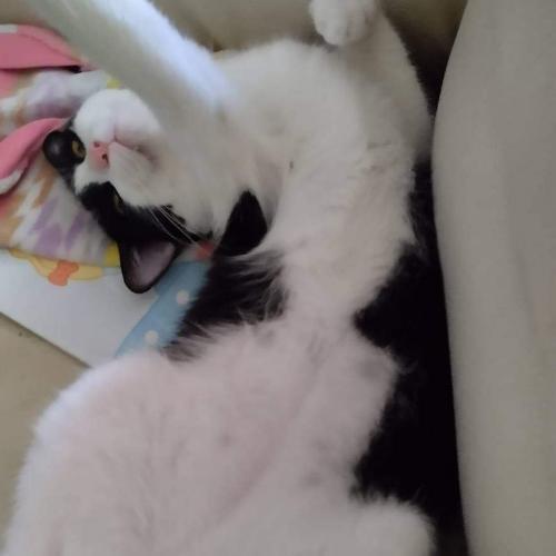 สมาชิกหมายเลข 7026112