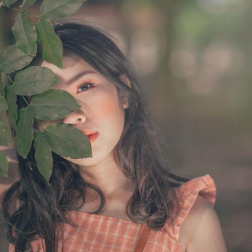 สมาชิกหมายเลข 5768306