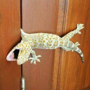 สมาชิกหมายเลข 1875914