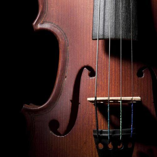 สมาชิกหมายเลข 5119625