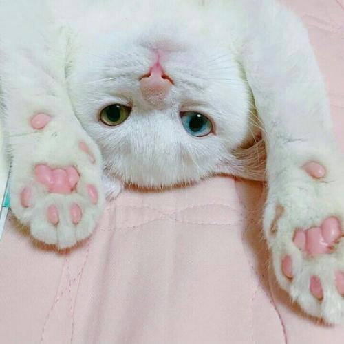 สมาชิกหมายเลข 5121649