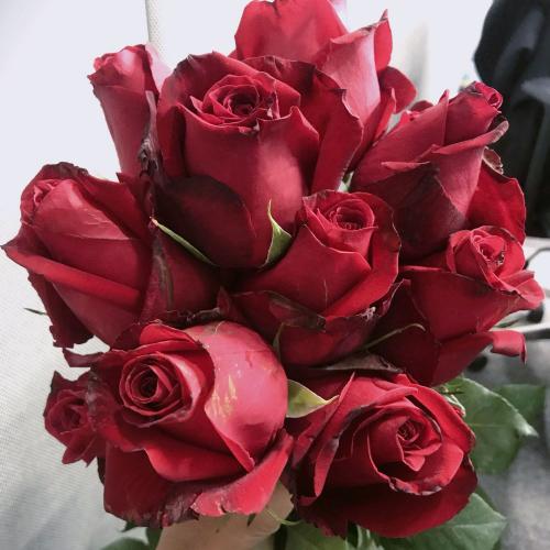 สมาชิกหมายเลข 5121674