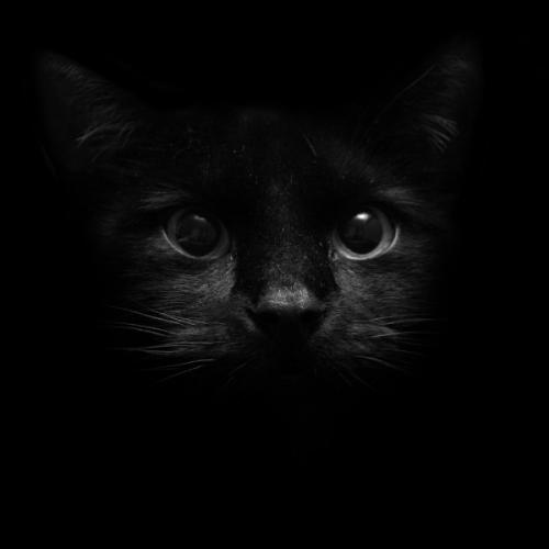 สมาชิกหมายเลข 5642360