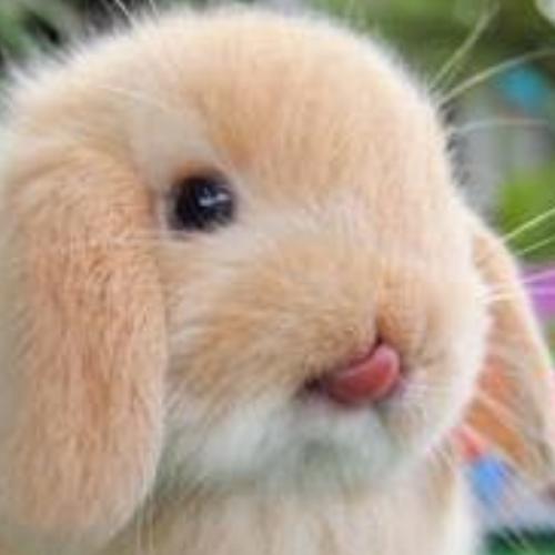 สมาชิกหมายเลข 6063443