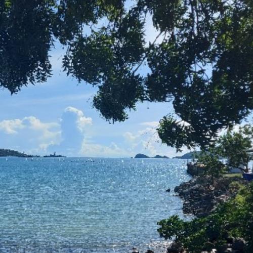 สมาชิกหมายเลข 6063513