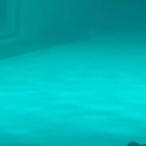 สมาชิกหมายเลข 7343565