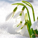 สมาชิกหมายเลข 3265318