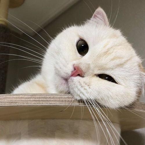 สมาชิกหมายเลข 4496991