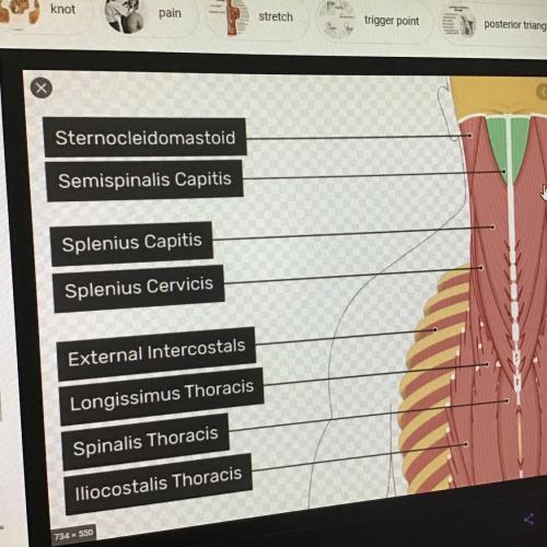 สมาชิกหมายเลข 1304625