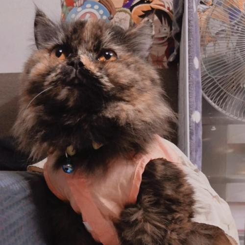 สมาชิกหมายเลข 5498847