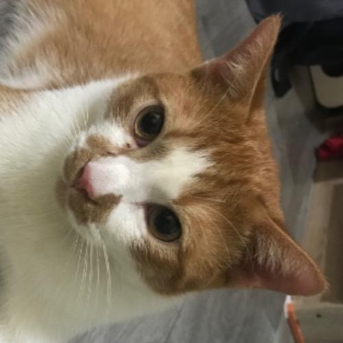 สมาชิกหมายเลข 6940768