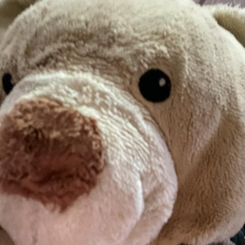 สมาชิกหมายเลข 7421056