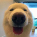 สมาชิกหมายเลข 4388671