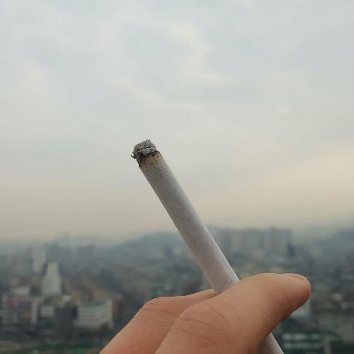 สมาชิกหมายเลข 5118488