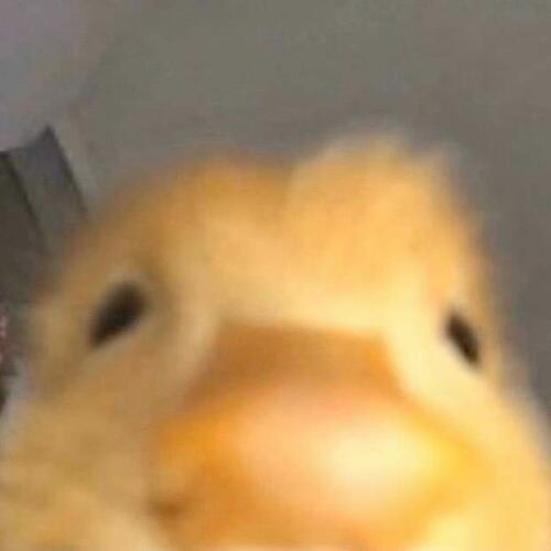 สมาชิกหมายเลข 5389453