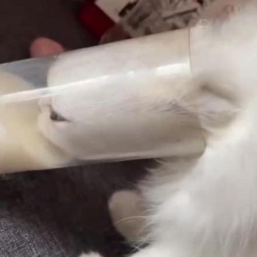 สมาชิกหมายเลข 6682203