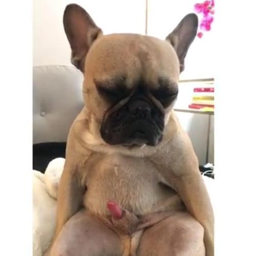 สมาชิกหมายเลข 6682650